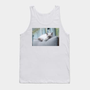 Musse the gray and white ragdoll cat Tank Top